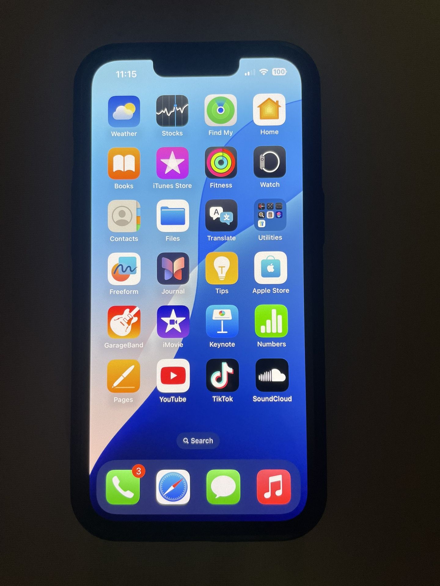 iPhone 13 With TikTok Installed