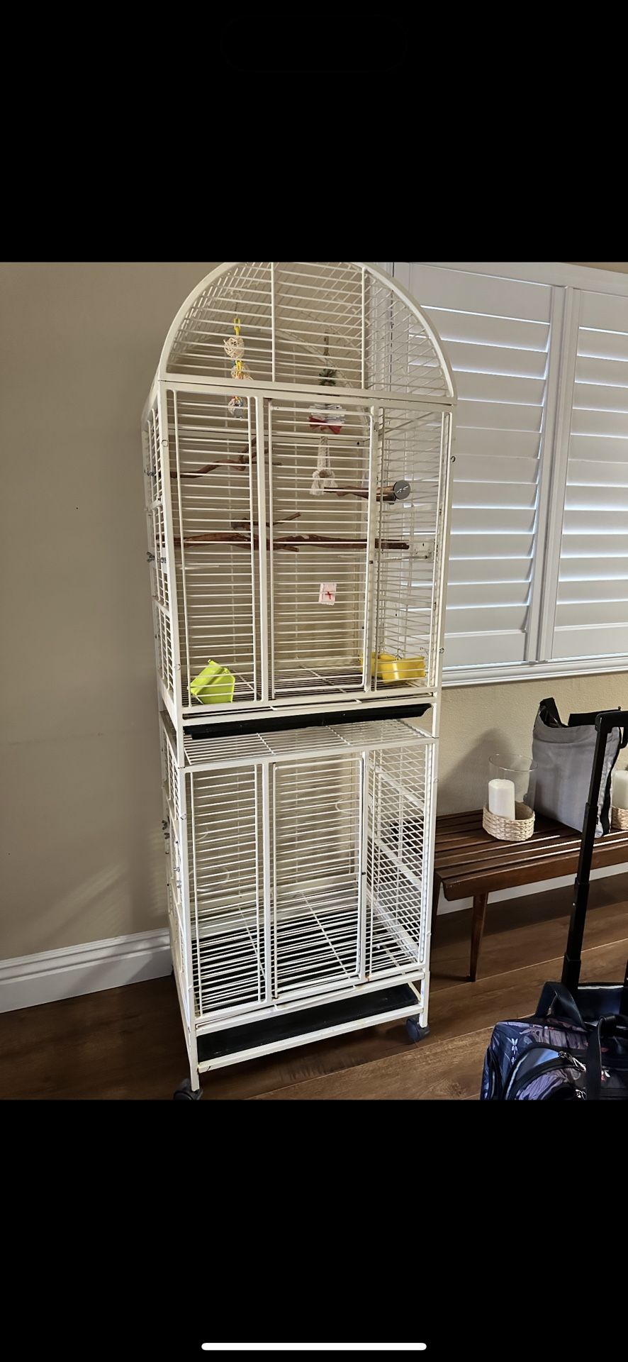 bird cage