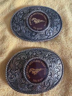 Vintage American Shetland Pony Club 7th Area Express Riders For Courage Metal Belt Buckle