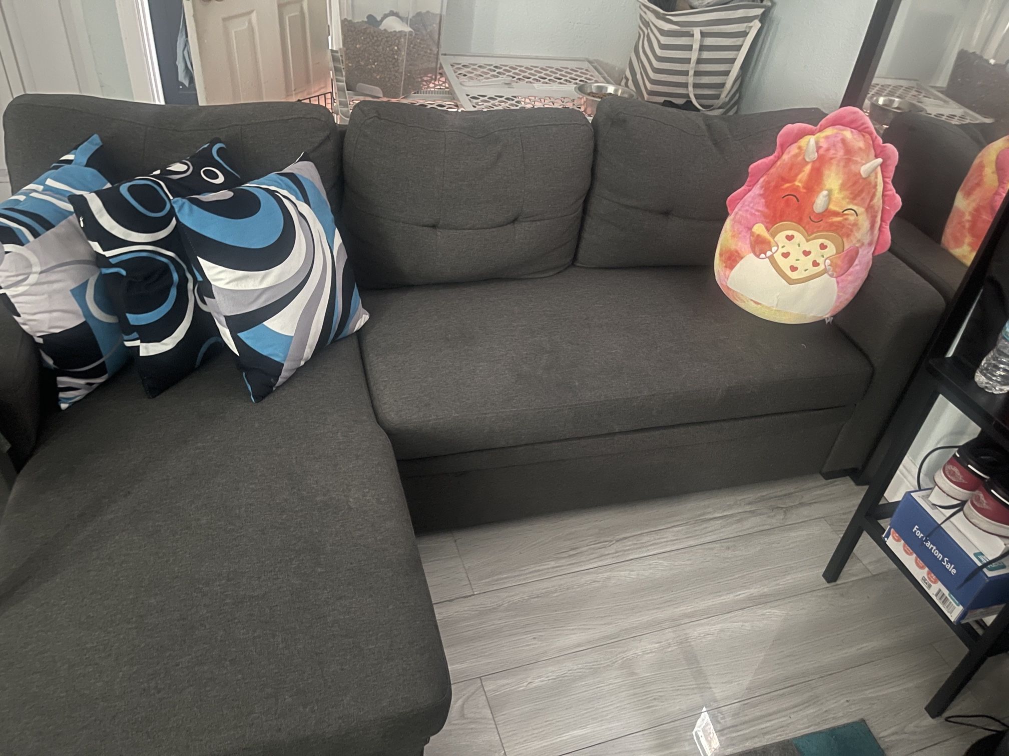 Couch Bed With Storage
