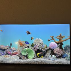 75” TCL Roku Smart Tv