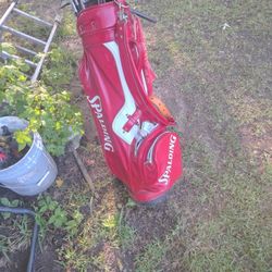 golf bag with some golf clubs
