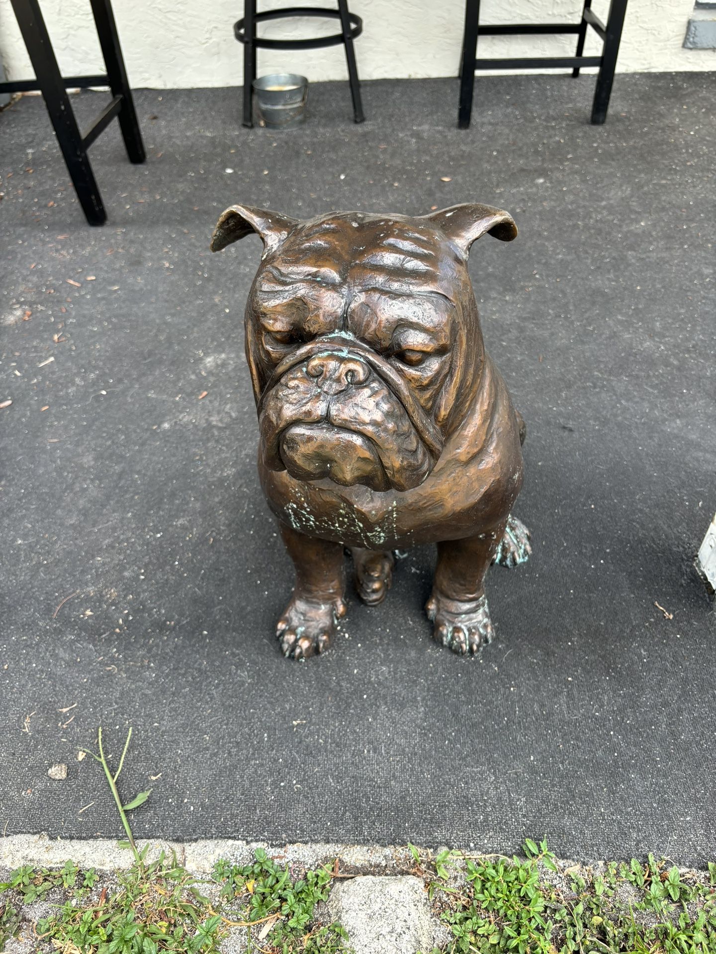  Bronze Dog Statue 