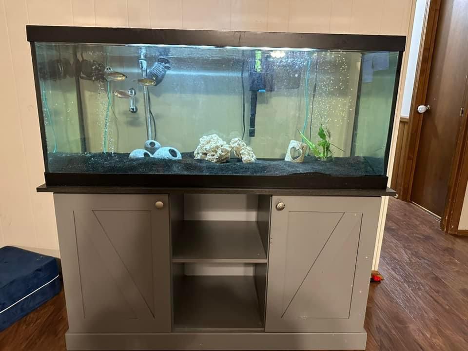 75 gallon fish tank 