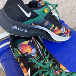 Nike Air Zoom Pegasus 38 & Reebok Classic 