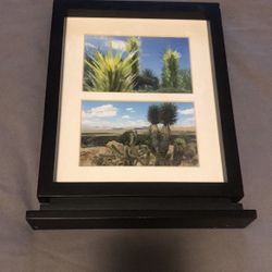 Farmers Picture 