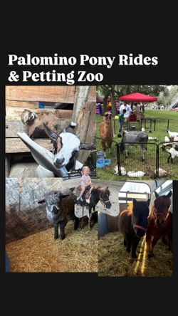palomino pony rides