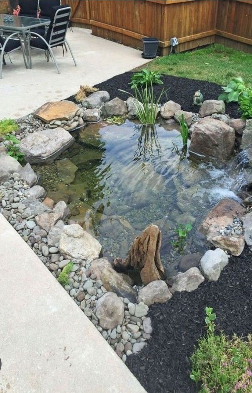 Ponds Ideas