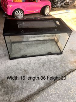 Snake Or Reptile Terrarium