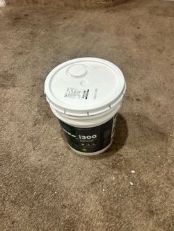 Paint