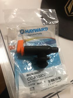 Hayward Air Relief Valve