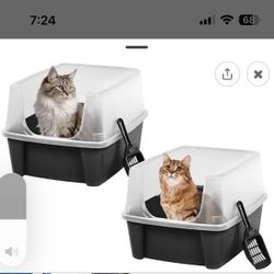 Litter Box 