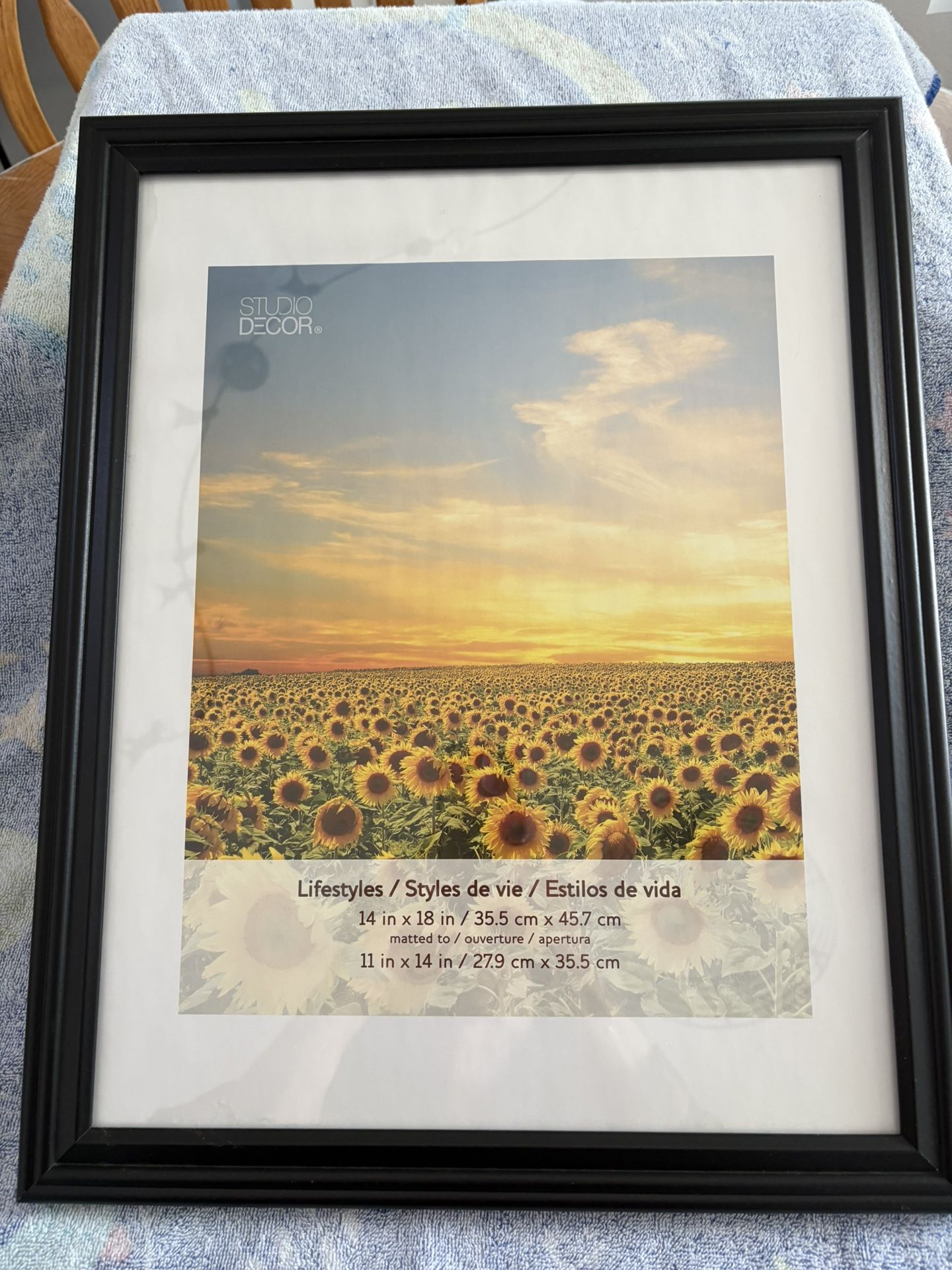 Black Wooden 14 X 18 Frame