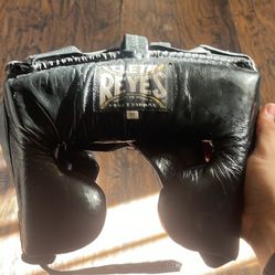 Cleto Reyes Cheek Protector Headgear 