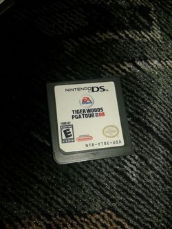 Nintendo DS game