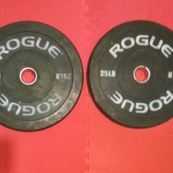 (2) 25lb ROGUE Olympic Size Barbell Weights 50lbs Total