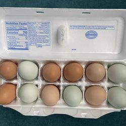 Free Range Chicken Eggs