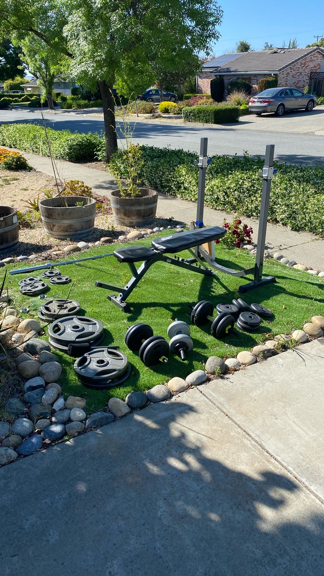Weight Bench w/ Weights and Dumbbells