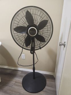 Nice large fan that oscillates from side to side.