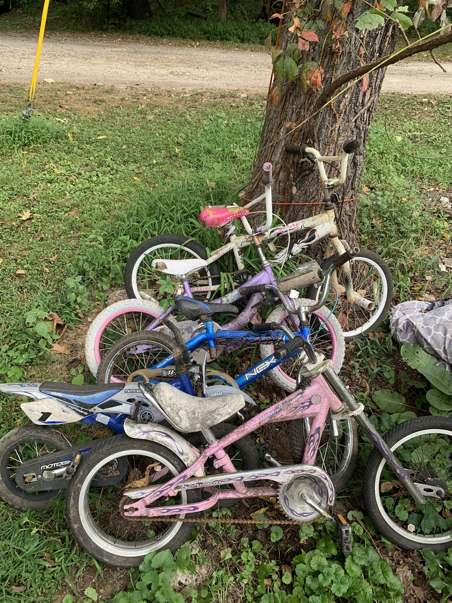 5 Kids Bikes Must Take All 