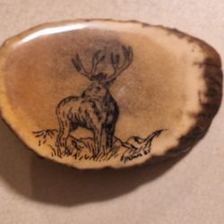 Vintage Elk Buckle