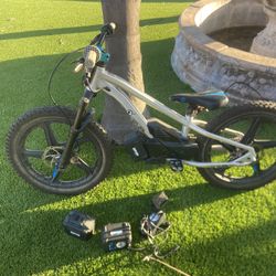 Stacyc 20inch Team Bike