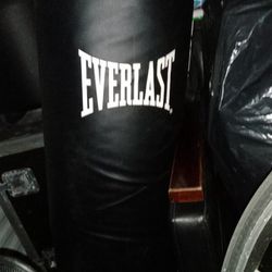 $150 Obo Everlast Punching Bag