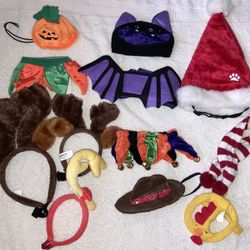 dog costumes and accessories 