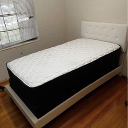 Twin Mattress New