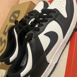 Nike Panda Brand New 
