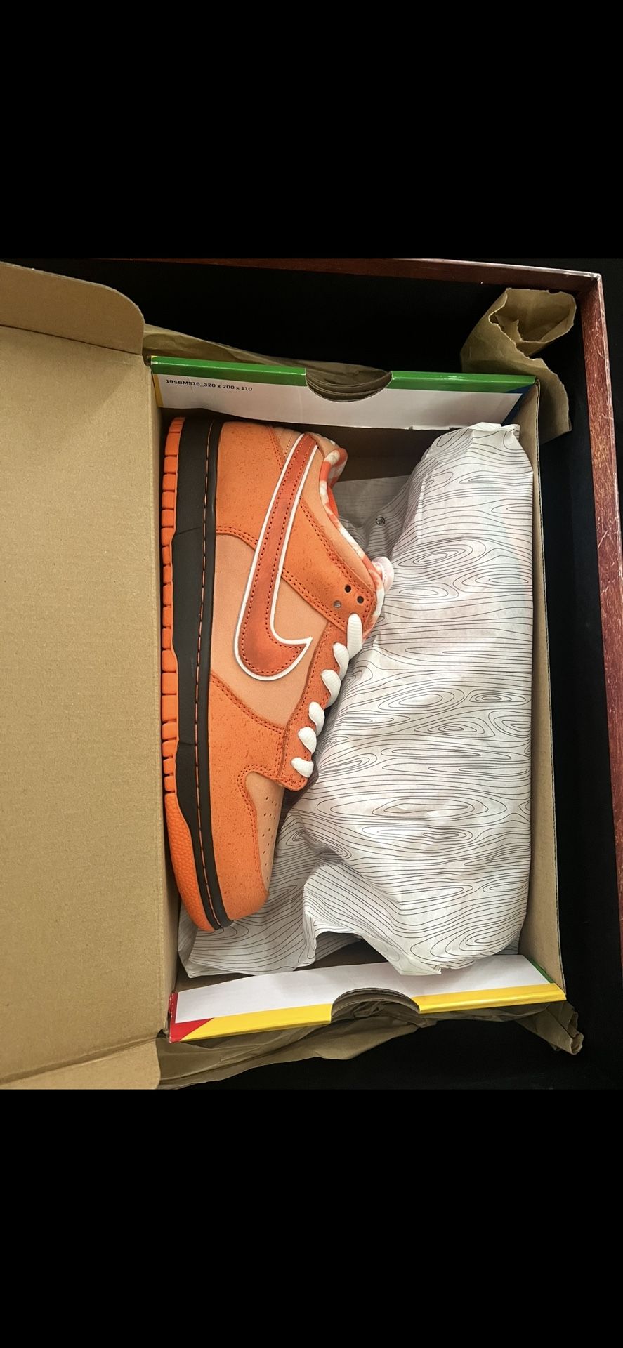 Nike SB Lobsters Special Box Edition
