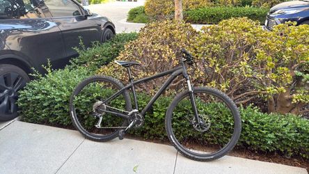 Specialized Rick Hopper