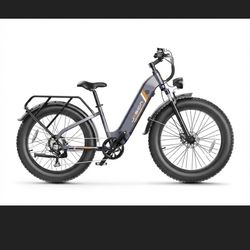 Jaison Electric Bike 