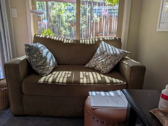 Loveseat Sleeper