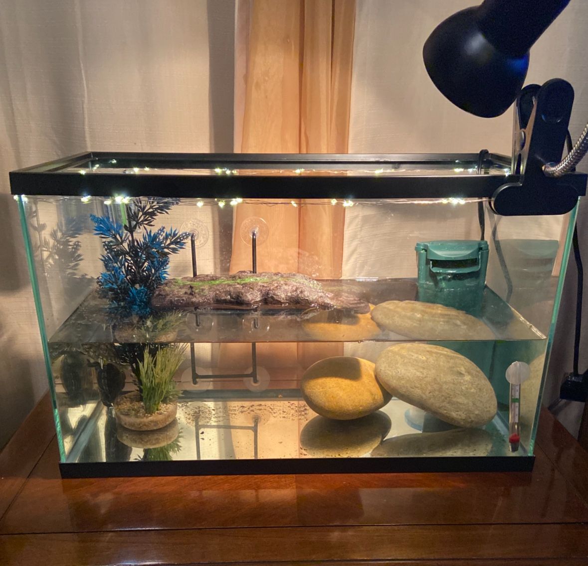 30 Gallon Aquarium Complete