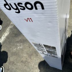 Dyson V11