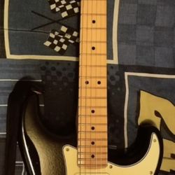 Fender Stratocaster Player 