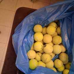 100 tennis balls for $20 for Dogs, Chairs, Etc.