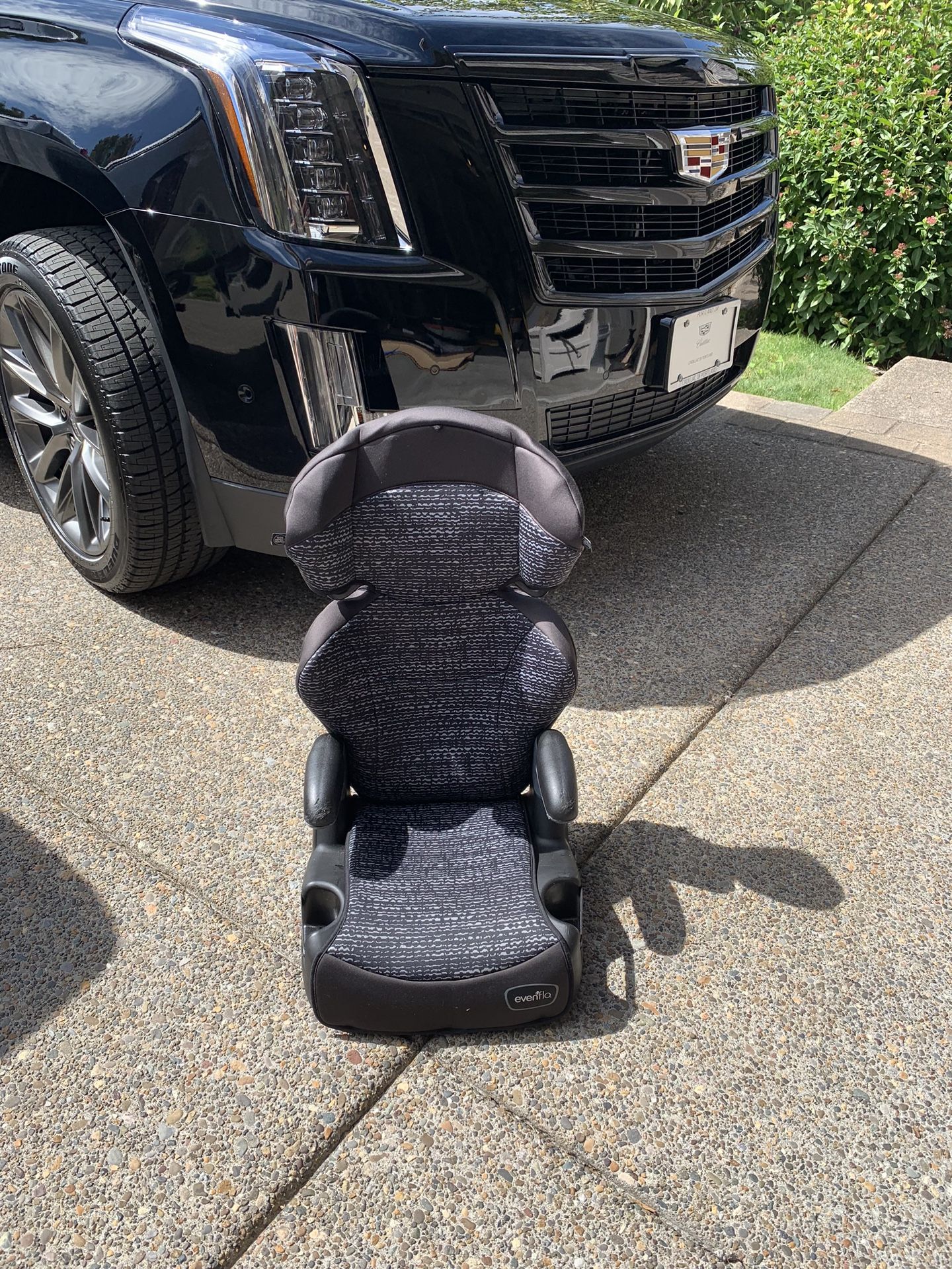 Evenflo Booster seat