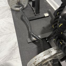 Curl Bar, Dumbbells, Weight Tree 