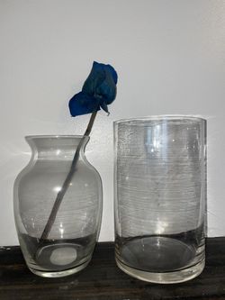 Two Clear Glass Flower Vases