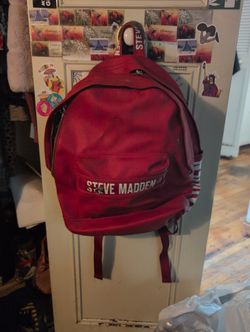 Steve Madden bag