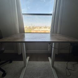 Sit Stand Desk