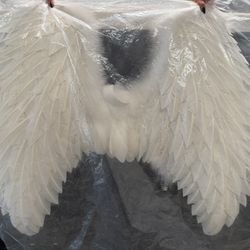 Angel Wings