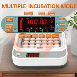 18 Eggs Incubator 