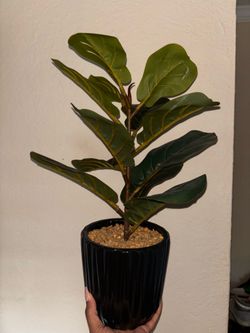 Faux plants