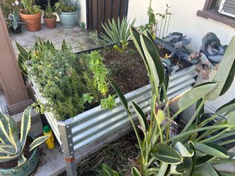Metal planter