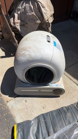 Automatic cat box
