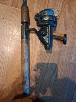 Fishing rod and reel