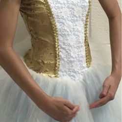 Girl Ballet Dress Size12